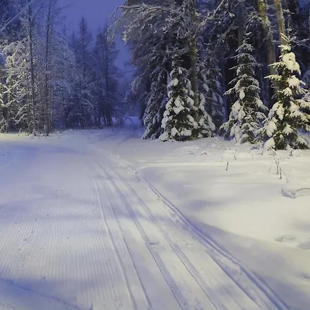 Merikarhun Kaksio - By The Sea, 5 Mins Off The Highway * Κέμι