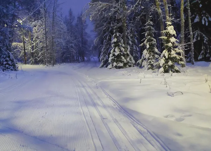 Merikarhun Kaksio - By The Sea, 5 Mins Off The Highway * Kemi